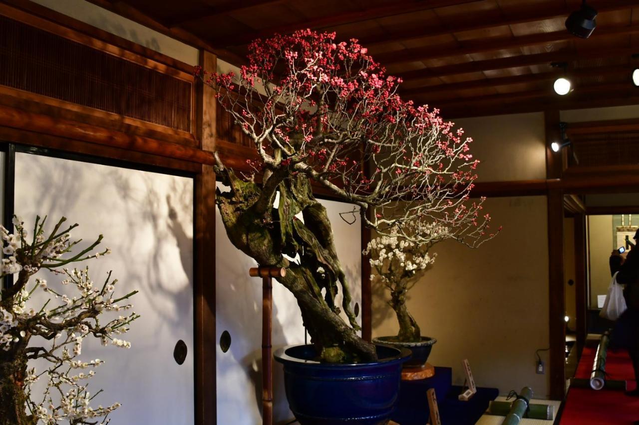 Cozy House312 Free Wifi A Rented Electric Bicycle Appartamento